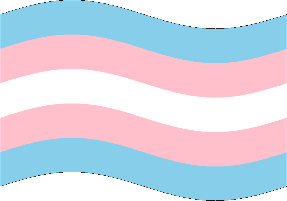 Todo Provide Title Jumbo Transgender Flag