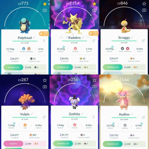 PokéMonday PokéProgress! Palpitoad, Shiny Kadabra, Scraggy, Shadow Vulpix, Gothita, and Audino! #Pok