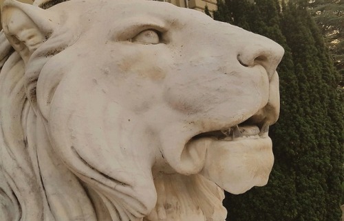 detailedart:Photoset n°0 | One of two lions carved by Charles-François Iguel (1826-1897) in front of