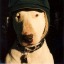 hounddawggg