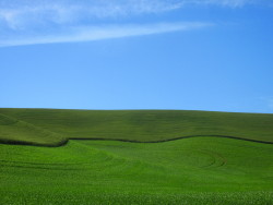 justemoinue2:  Rolling Farmland 