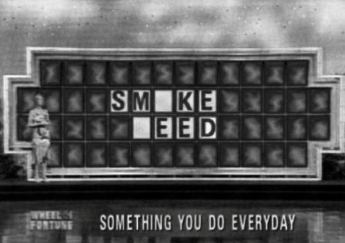 you-said-this-is-suicide:  420
