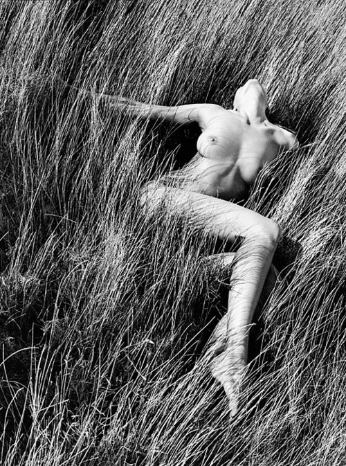 nlmartinmart:   Also visit my other blog: http://martins-see-through.tumblr.com 