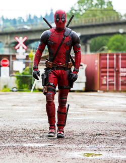 ridleydaisy: Deadpool (2016)