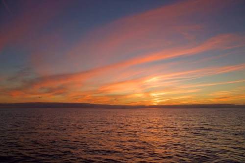 Cirrus clouds make beautiful sunsets #sunset #pink #ocean #skyporn #cloudporn #cirrus #clouds #highc