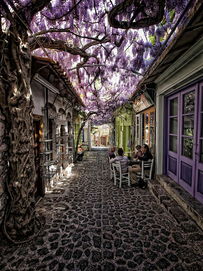 boredpanda:15+ Of The World’s Most Magical Streets Shaded By Flowers And Trees