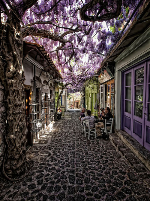 determamfidd:boredpanda:15+ Of The World’s Most Magical Streets Shaded By Flowers And TreesTHAT LAST