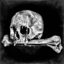 darkestdee:  …Dia de los Muertos… by roblfc1892