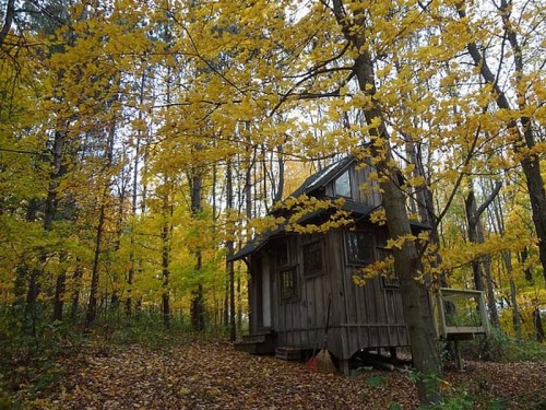 longwinter:COTH (Cottage on the Hill), 200 square metres, in the woods of south-west Michigan 