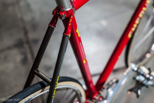 bikeplanet:  Cherubim NJS Track Bike 