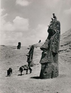 archaeoart:  Man atop a moai, Easter Island (Rapa Nui), circa 1936. 