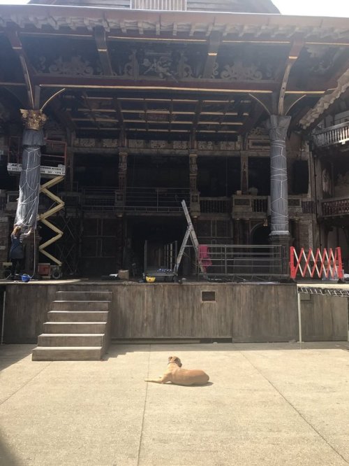 gentleherald:globefan:From Lez Brotherston:  Henry oversees Twelfth Night setup.(fourdaysfourdaysfou