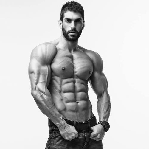 Adonis Files