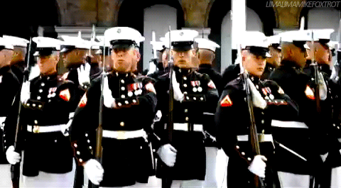To those who likewise earned the right to wear the eagle, globe, and anchor, happy birthday. Semper 