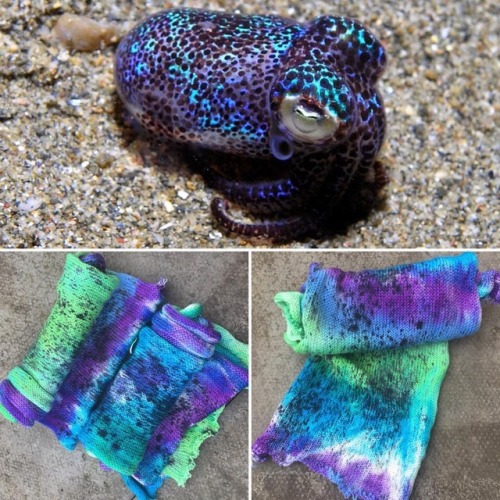 Firefly Squid Sock Blank. These will knit up with soft edged stripes (or a repeating ombré if