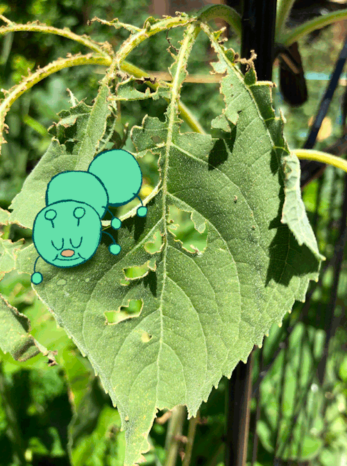 slugspoon:at last! you found the bug that’s been eating all the greens in your mom’s garden. he sees