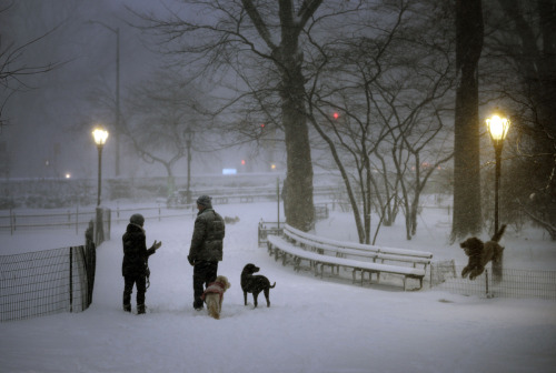 fotojournalismus:Central Park, New York City on January 23, 2016 (Astrid Riecken/Getty Ima