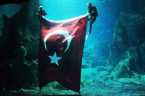 Kaybetmek için erken, sevmek için çok geç.