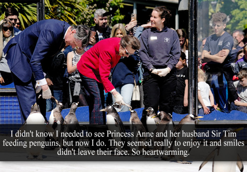 “I didn’t know I needed to see Princess Anne and her husband Sir Tim feeding penguins, but now