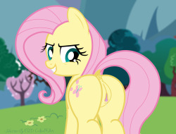 Assertive Flutters is really going to show