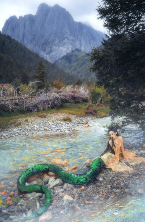 hanfugallery:青蛇 by 夏弃疾_ This photoset is a creative portrayal of the mythological snakes described i