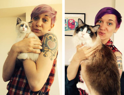ladydeathwhisper:One year ago today we welcomed Lady into our lives and she has filled it with fun, 