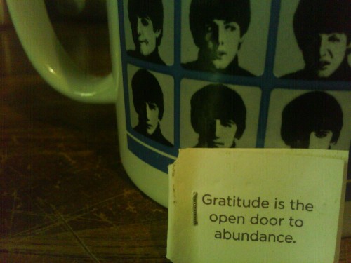 &ldquo;Gratitude is the open door to abundance.&rdquo;