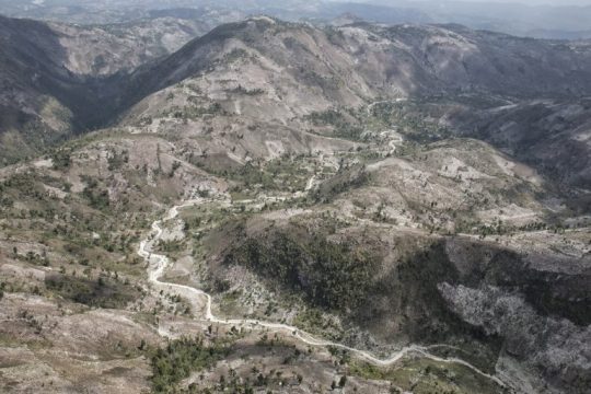 Haiti may lose all primary forest by 2035, mass extinction underway