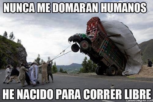 futubandera:  OPTIMUS? 