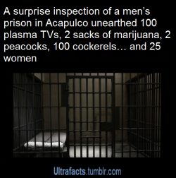 ultrafacts:  Source More Facts