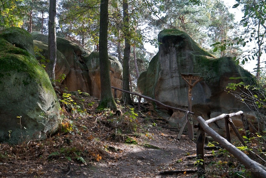 Skamieniałe Miasto - Stone City (literal translation: ‘city turned into stone’), a nature reserve near the town of Ciężkowice, Poland.
“ A legendary tale about the rock formations “tells a story about a cruel master who once ruled the local castle...