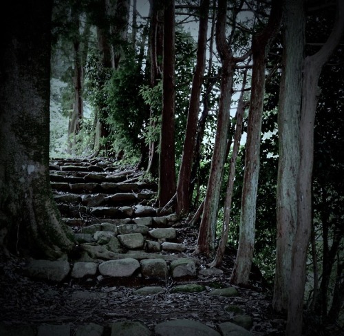 A lost corridorThere is a path like this picture on the mountain in Japan. There is no one here. Cor