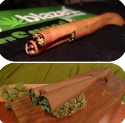 bluntrollerandsmoker:  shotty blunt 