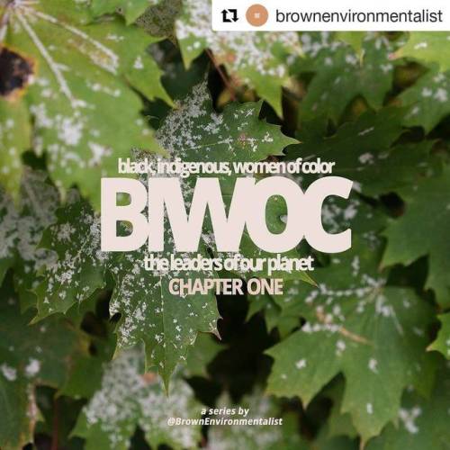 #Repost @brownenvironmentalist (@get_repost)・・・¼ We’re on a mission to deconstruct environmen