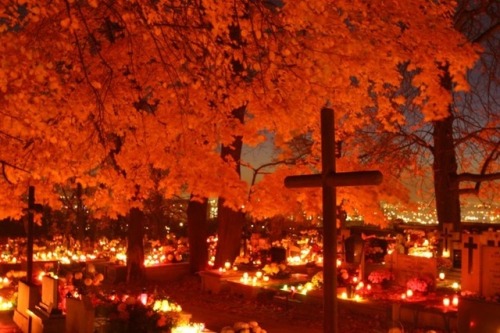 neon-innessa:Polish cemeteries look soooooo neat at night on the All Saints Day. I always go visit w