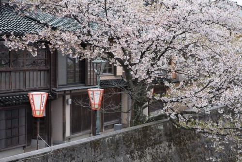 languagesandshootingstars:Kanazawa, Japan