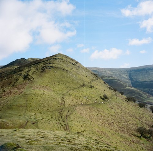 alifeingrain:Black Mountains, Wales - March 2020Rolleicord Vb on Kodak Portra 400