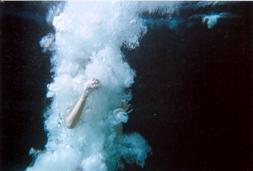 stemss.tumblr.com/post/78340050376/