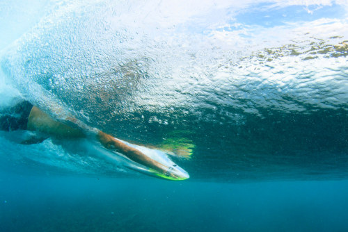 surf-fear:   photo by Jason Kenworthy 