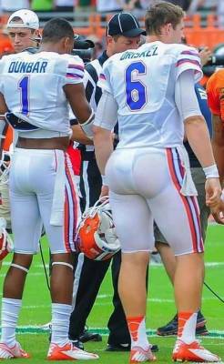 dallasltn35:  honolulujoe:  Florida Gator QB Jeff Driskel - bounceable…  Yummm