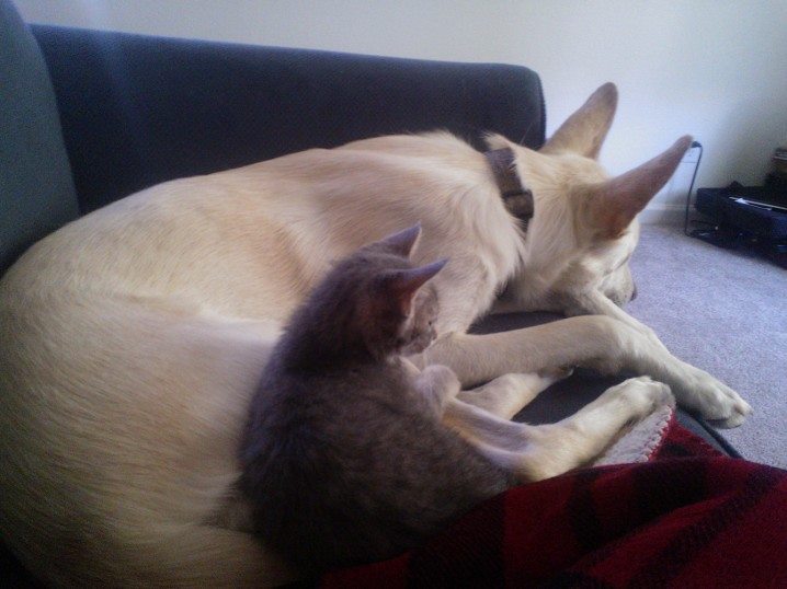 Hesitant friends