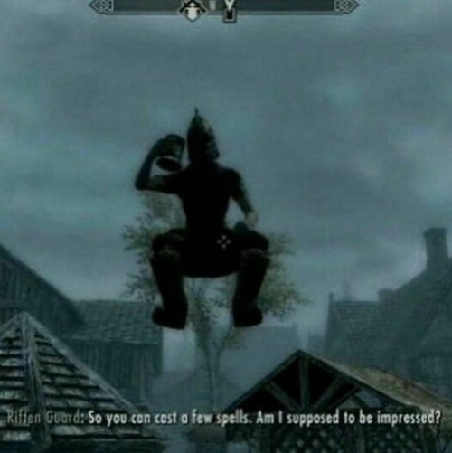 zahnegott-lives: qualitytimeswithqualitylads: officialfist: No I suppose not flying Riften Guardsman