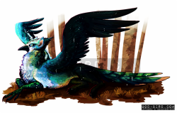 frigidloki: ☆ blue jay griffon [art commissions