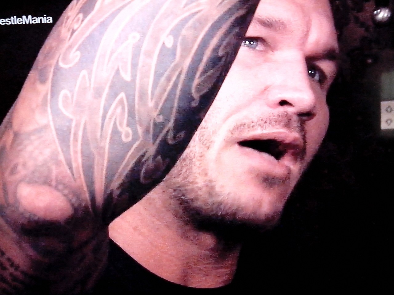 Venom in my veins