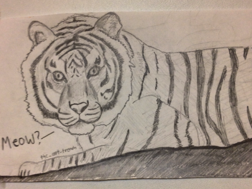 Found this sketch i drew like a year ago. I would love a tiger that only meowed.