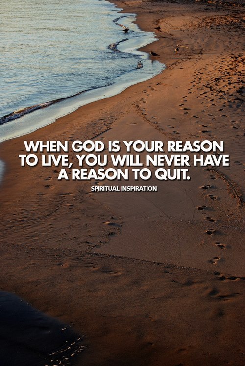 XXX spiritualinspiration:  Don’t give up just photo