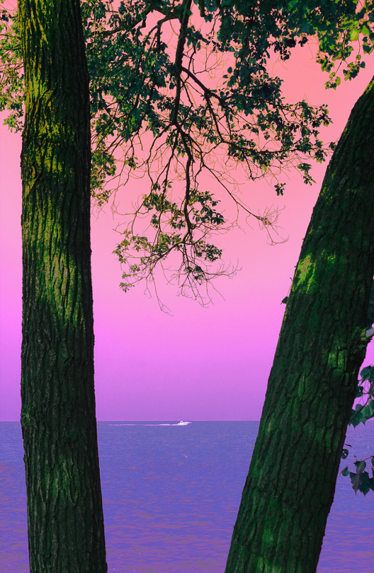 Untitled Peter Solarz