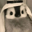 bunnygottamed