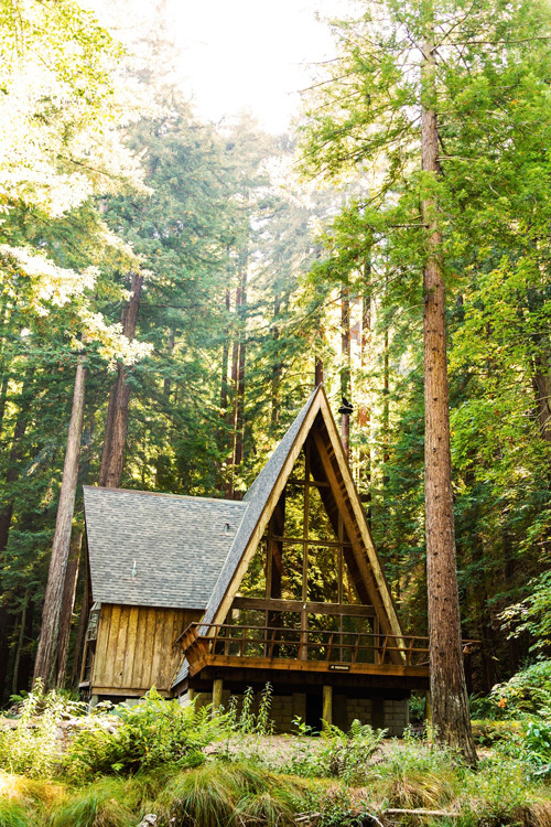 eartheld:  mostly nature