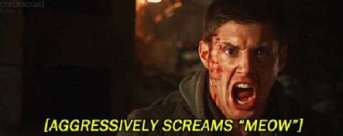 blueeyedmenace:  Closed captioning gone wrong in the best way 